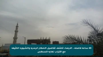 48 ساعة فاصلة.. الأرصاد تكشف تفاصيل الأمطار الرعدية والشبورة الكثيفة مع اقتراب نهاية أغسطس